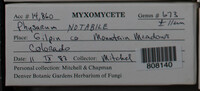 Image Associated With the Occurence